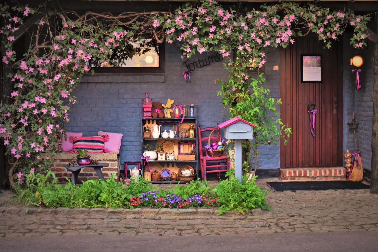 Maison Jeanny, Full House With Big Garden Frasnes-lez-Anvaing Exterior foto